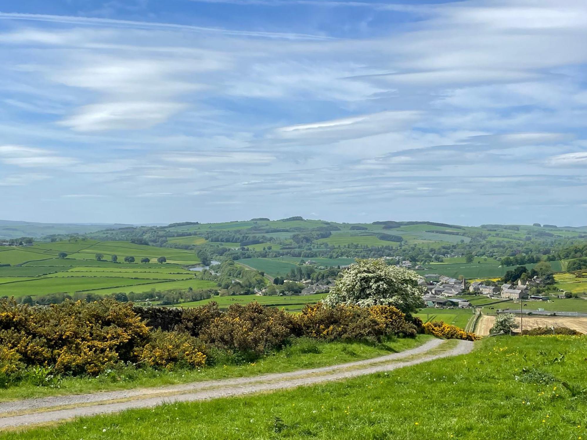 Stay On The Hill - Self Catered Cottages Laverick And Bothy Hexham Bagian luar foto